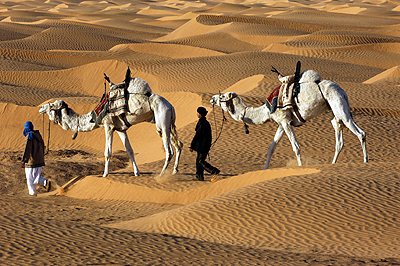 agence de voyage sousse